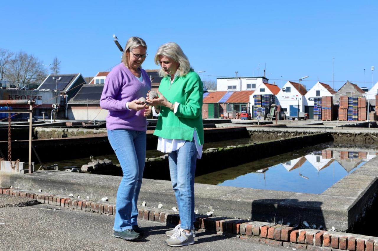 Vakantiewoning T Uusje Wemeldinge Exterior foto